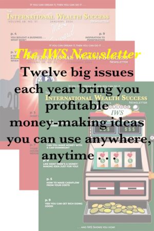 The IWS Newsletter : 12 Monthly Issues of Unique and Actionable Business Information