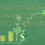 How to Parlay a Low-profit Idea into a Fortune