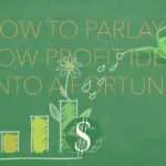 How to Parlay a Low-profit Idea into a Fortune