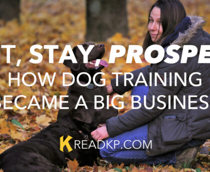 Sit, Stay, Prosper: How Dog Training Became a Big Business